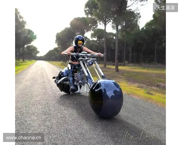 热刺前锋贝利兹接近加盟巴甲球队巴伊亚，转会费1000万欧元